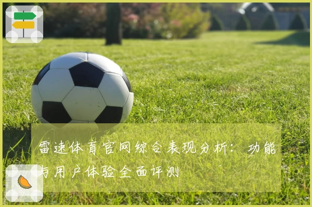 雷速体育官网综合表现分析：功能与用户体验全面评测
