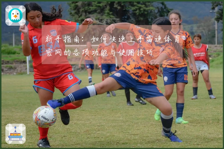 新手指南：如何快速上手雷速体育官网的各项功能与使用技巧