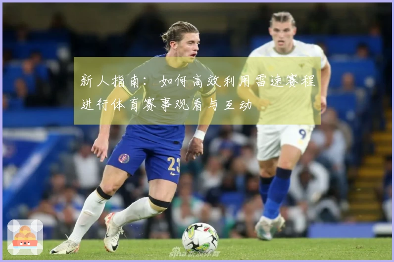 新人指南：如何高效利用雷速赛程进行体育赛事观看与互动